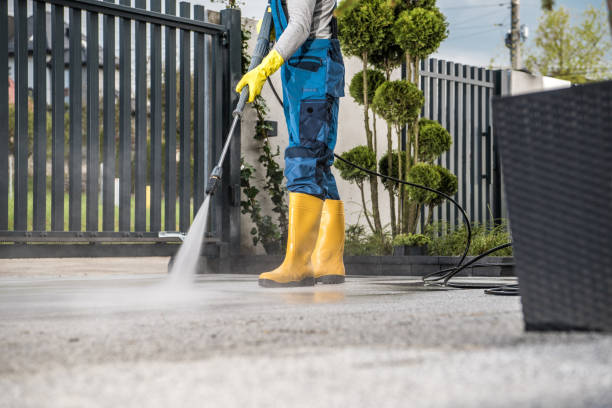 Best Residential Pressure Washing Services  in The Crossings, FL